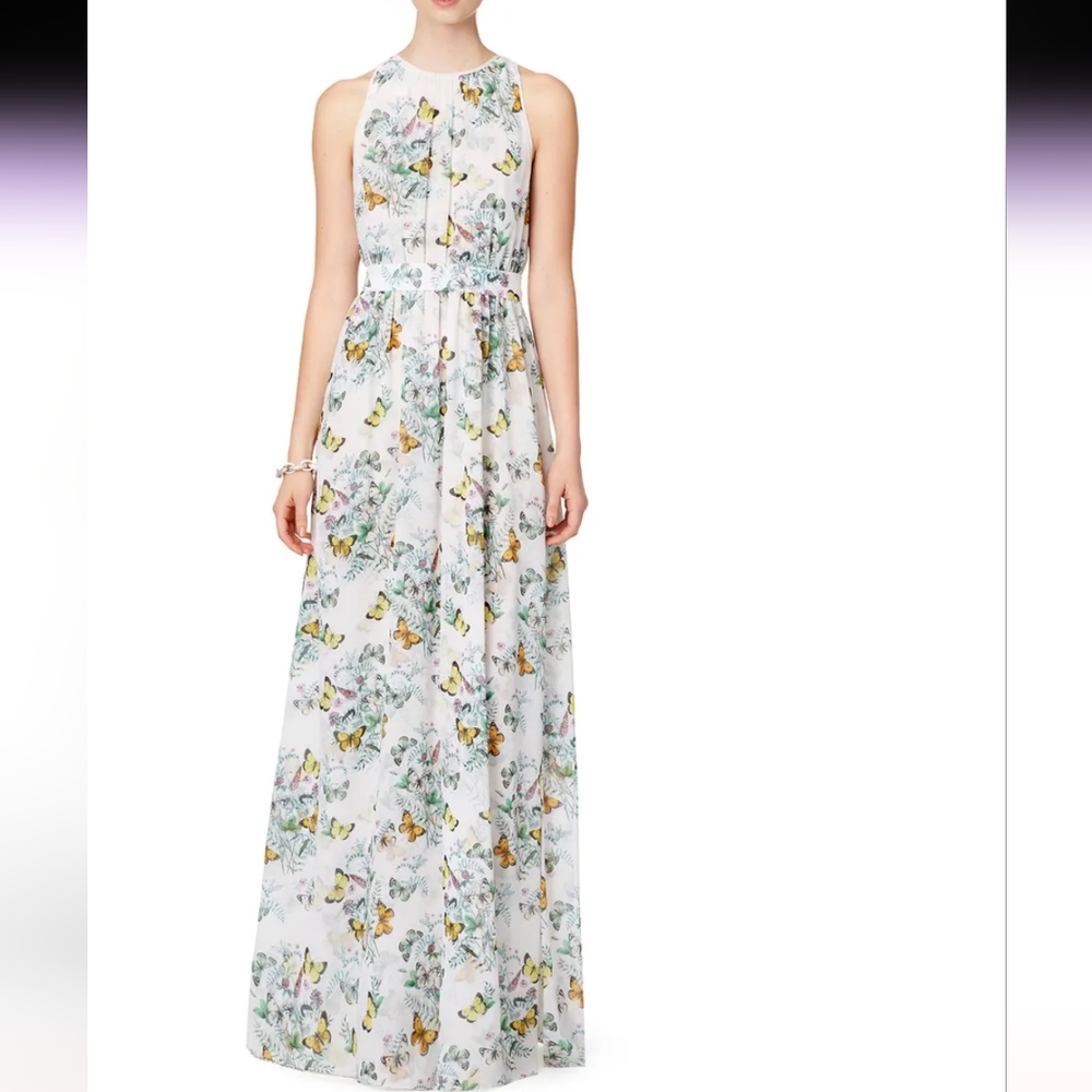 ERIN fetherston Floral Flutter Butterfly Chiffon Sleeveless Maxi Dress Size 2